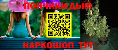 сатива Лесосибирск