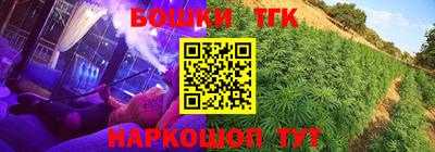 сатива Лесосибирск