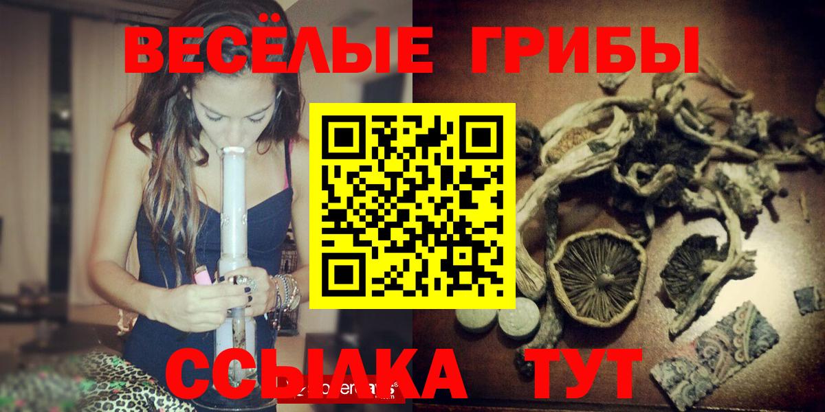 Галлюциногенные грибы Cubensis Домодедово