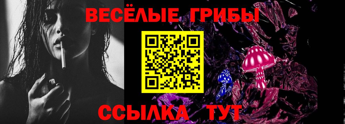 наркотики  Галлюциногенные грибы MAGIC MUSHROOMS  Вход с VPN  Домодедово  Псилоцибиновые грибы прущие грибы 